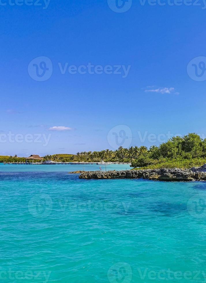 belle plage naturelle tropicale et panorama forestier contoy island mexique. photo