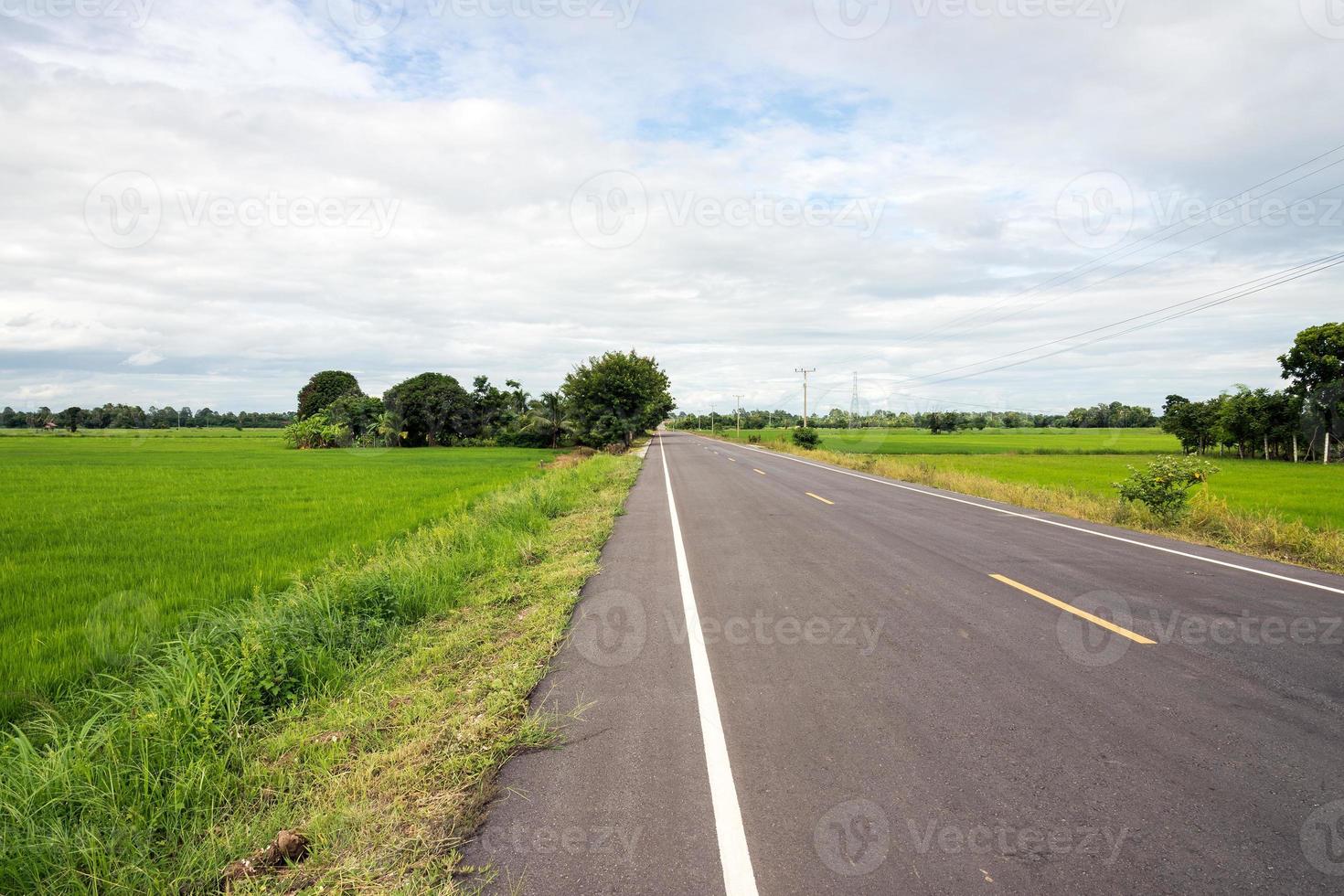 route asphaltée vide photo