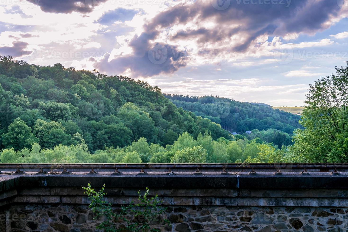 ligne de chemin de fer surélevée au-dessus d'une vallée boisée photo