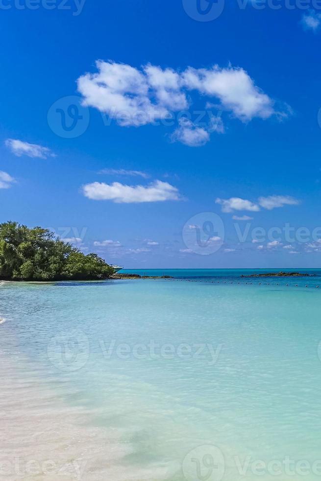 magnifique panorama paradisiaque de la plage naturelle tropicale contoy island mexique. photo