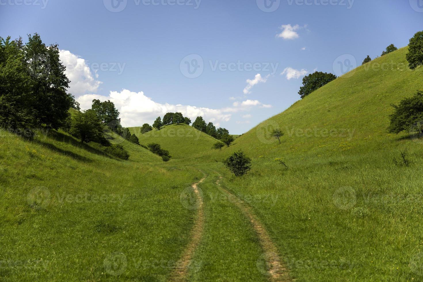 collines de zagajica en serbie photo