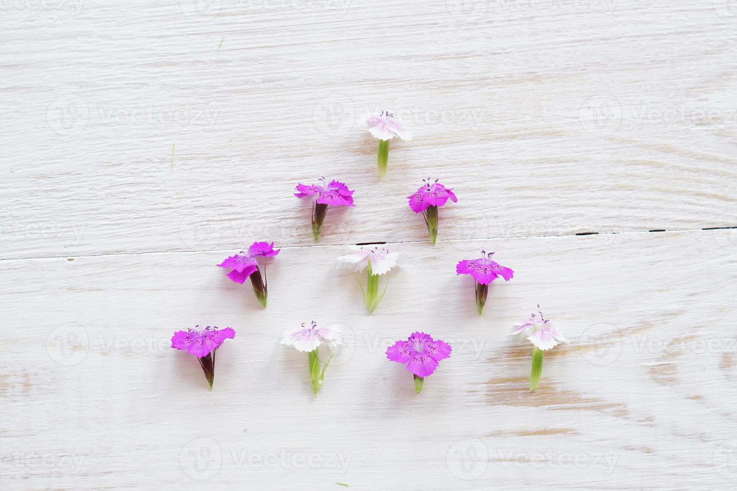 fleurs de chamaenerion sur fond de bois blanc photo