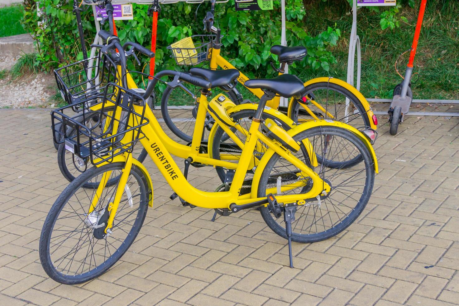 sochi adler, russie, 2019 - vélos à louer sur un parking à vélos photo