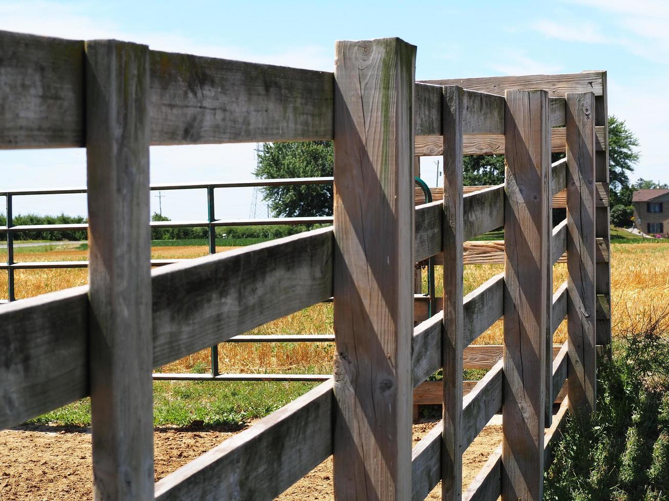 clôture en bois à la ferme photo