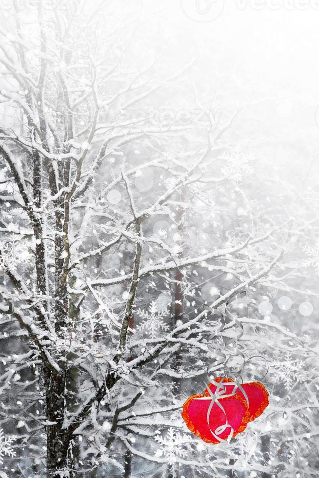 arbres dans la neige. cœur. photo