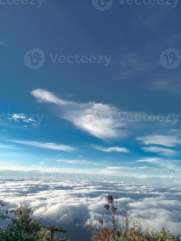 la vue au-dessus du sommet nuageux de la montagne photo