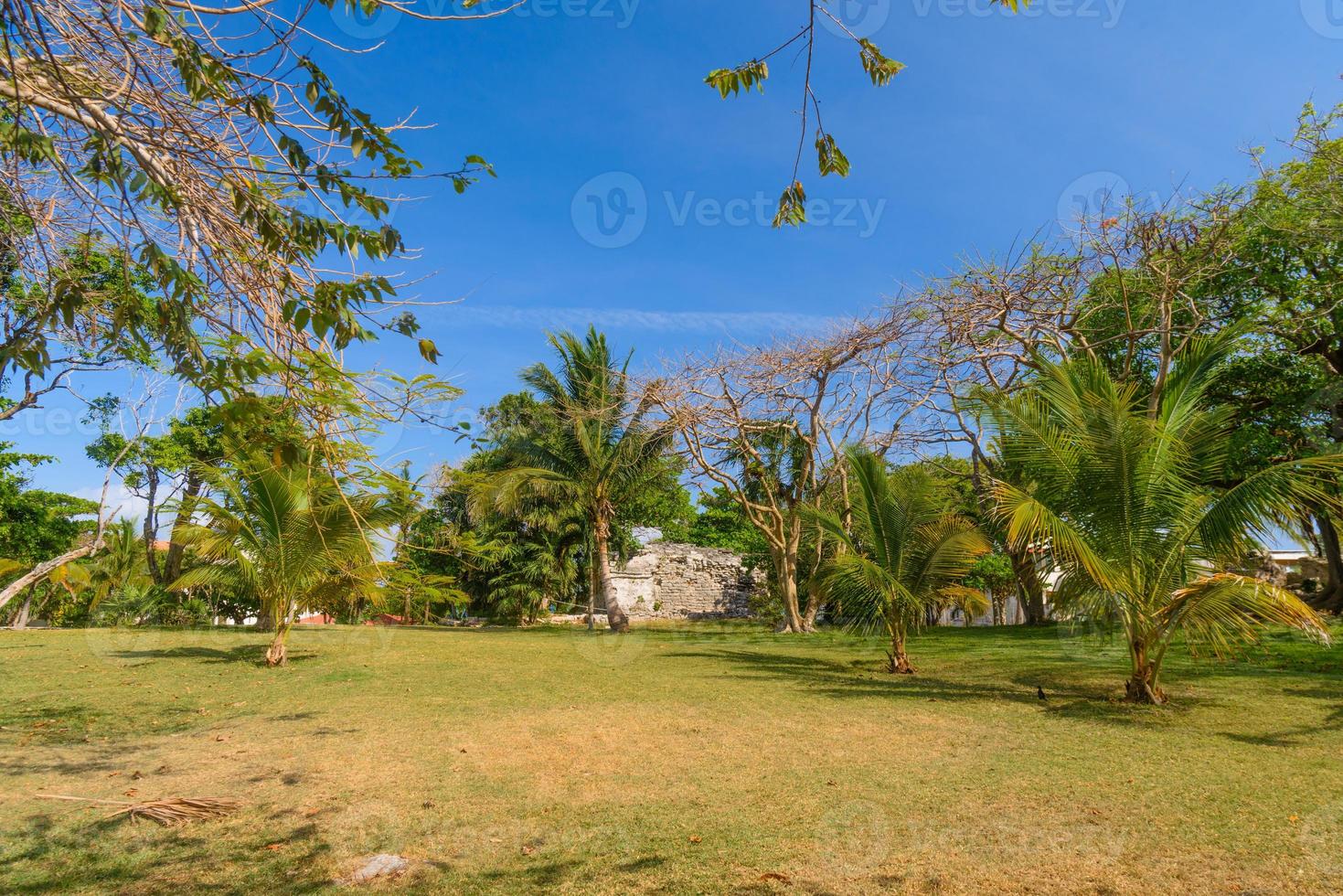 Ruines mayas de playacar dans le parc forestier de playa del carmen, yucatan, mexique photo