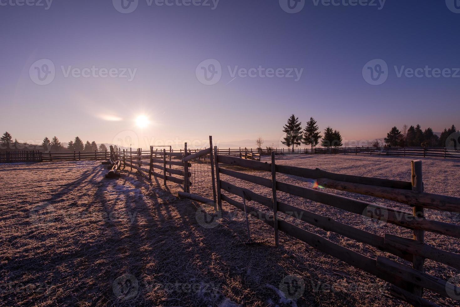 paysage d'hiver pittoresque avec arbre solitaire photo