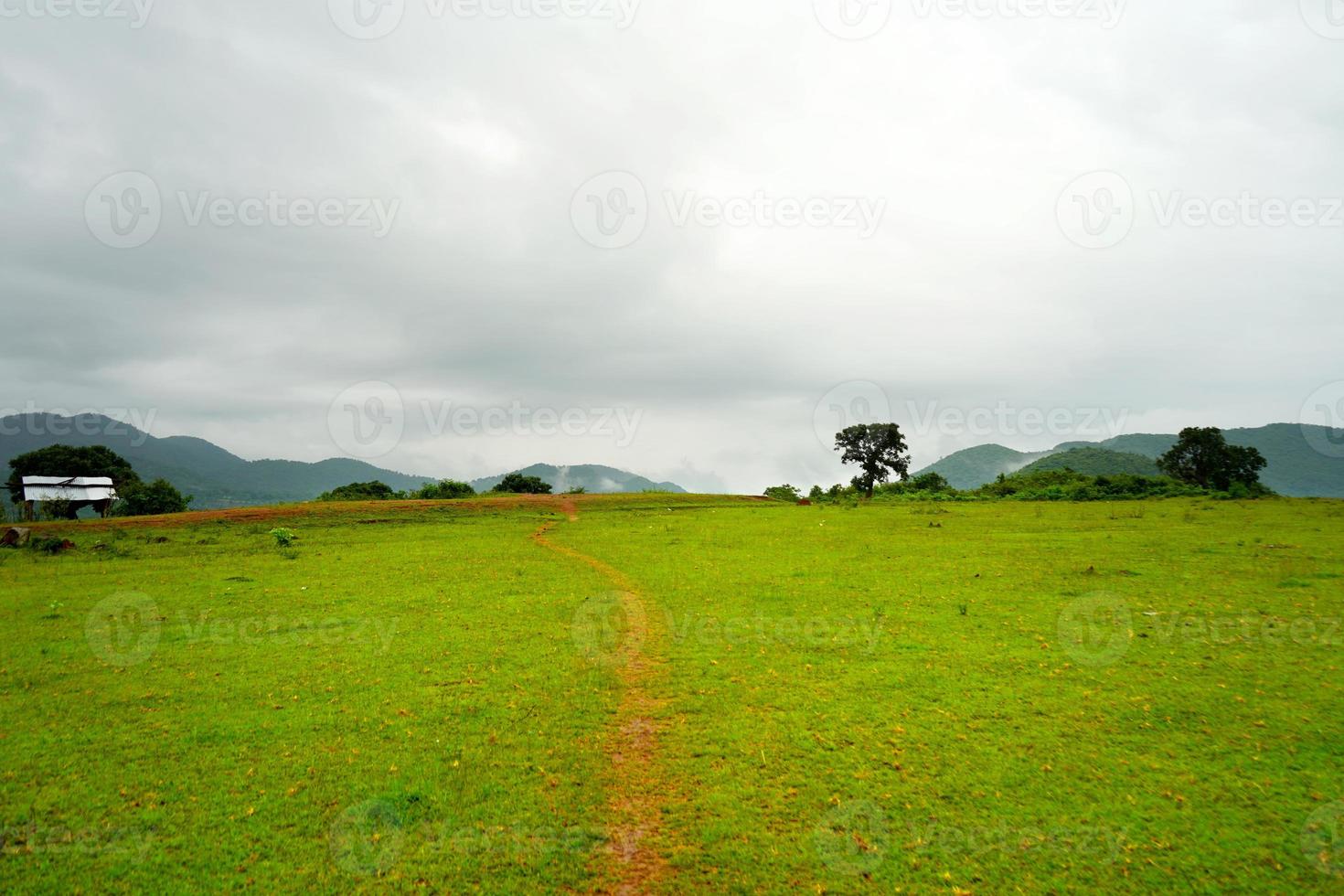 vallée de champ vert dans la montagne daringbadi d'odisha photo