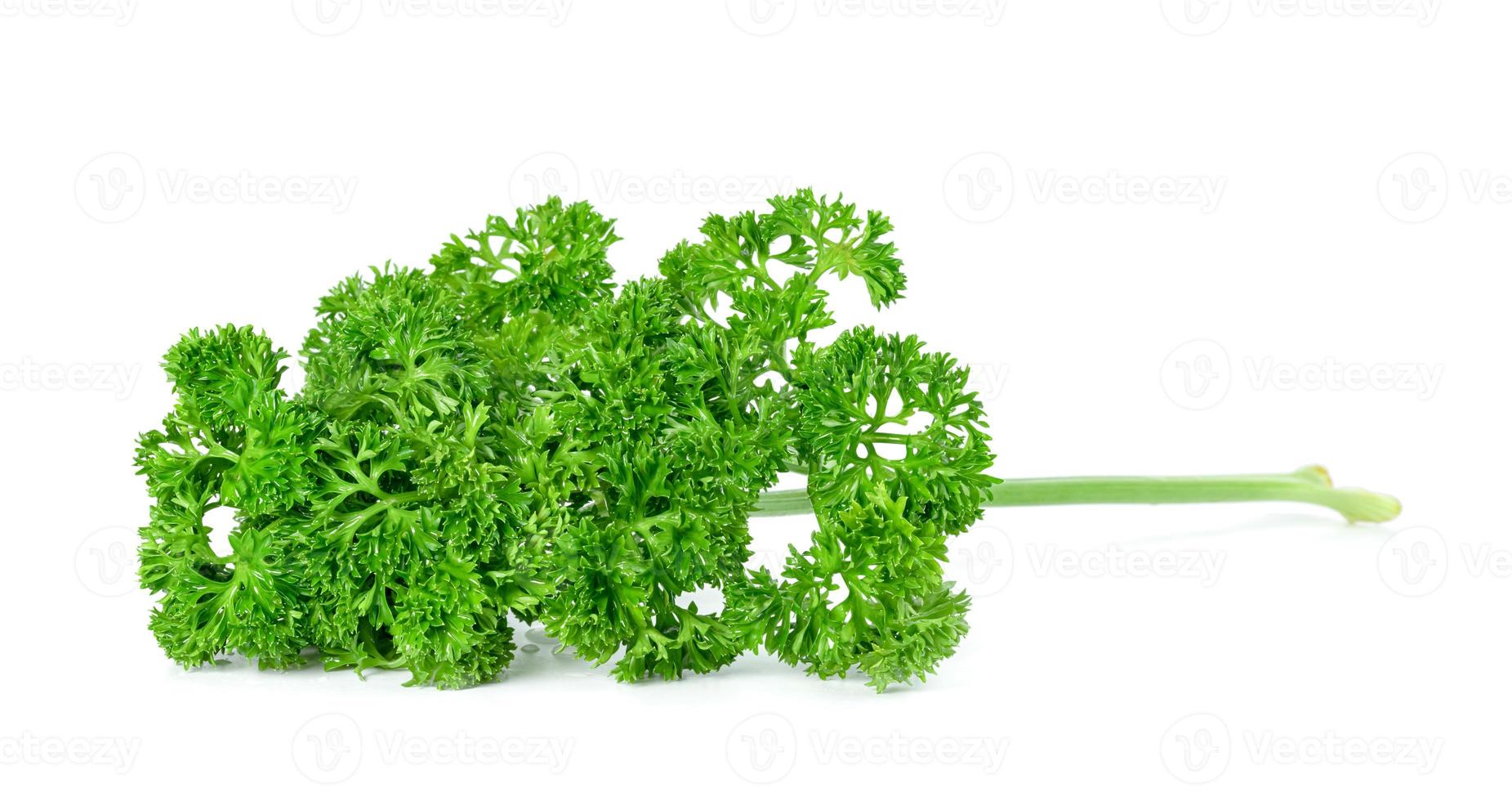 feuille de persil ou feuilles de petroselinum crispum isolées sur fond blanc, motif de feuilles vertes photo