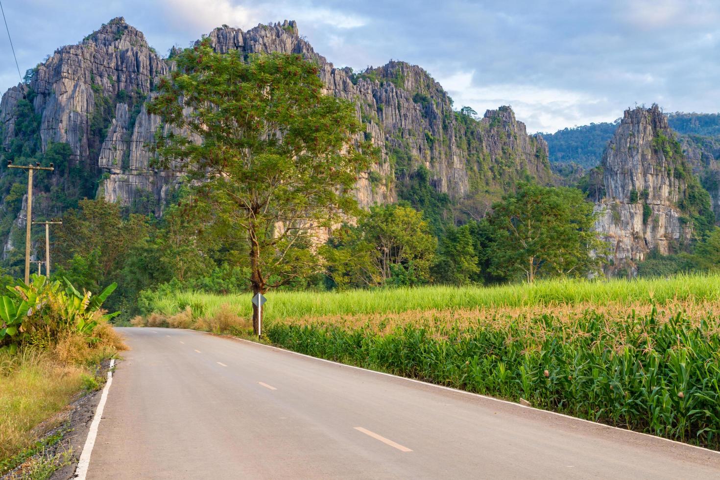 beau paysage avec route, montagnes et ciel bleu. notion de voyage photo