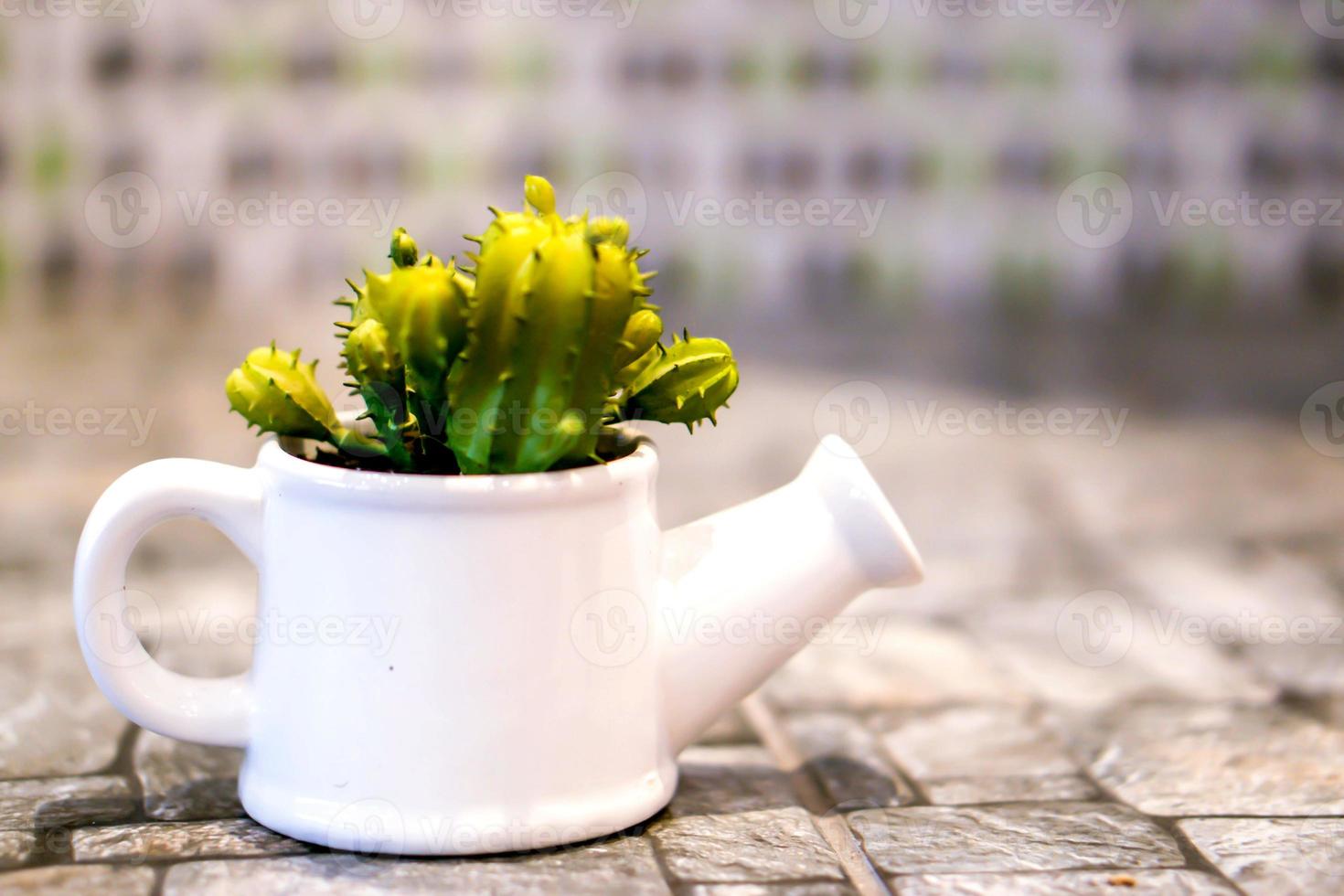 cactus dans un vase en céramique de douche décorative blanche sur sol en pierre et arrière-plan flou. photo