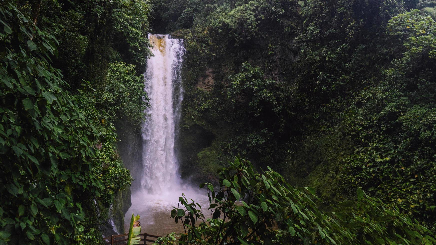 chute d'eau de la forêt tropicale photo