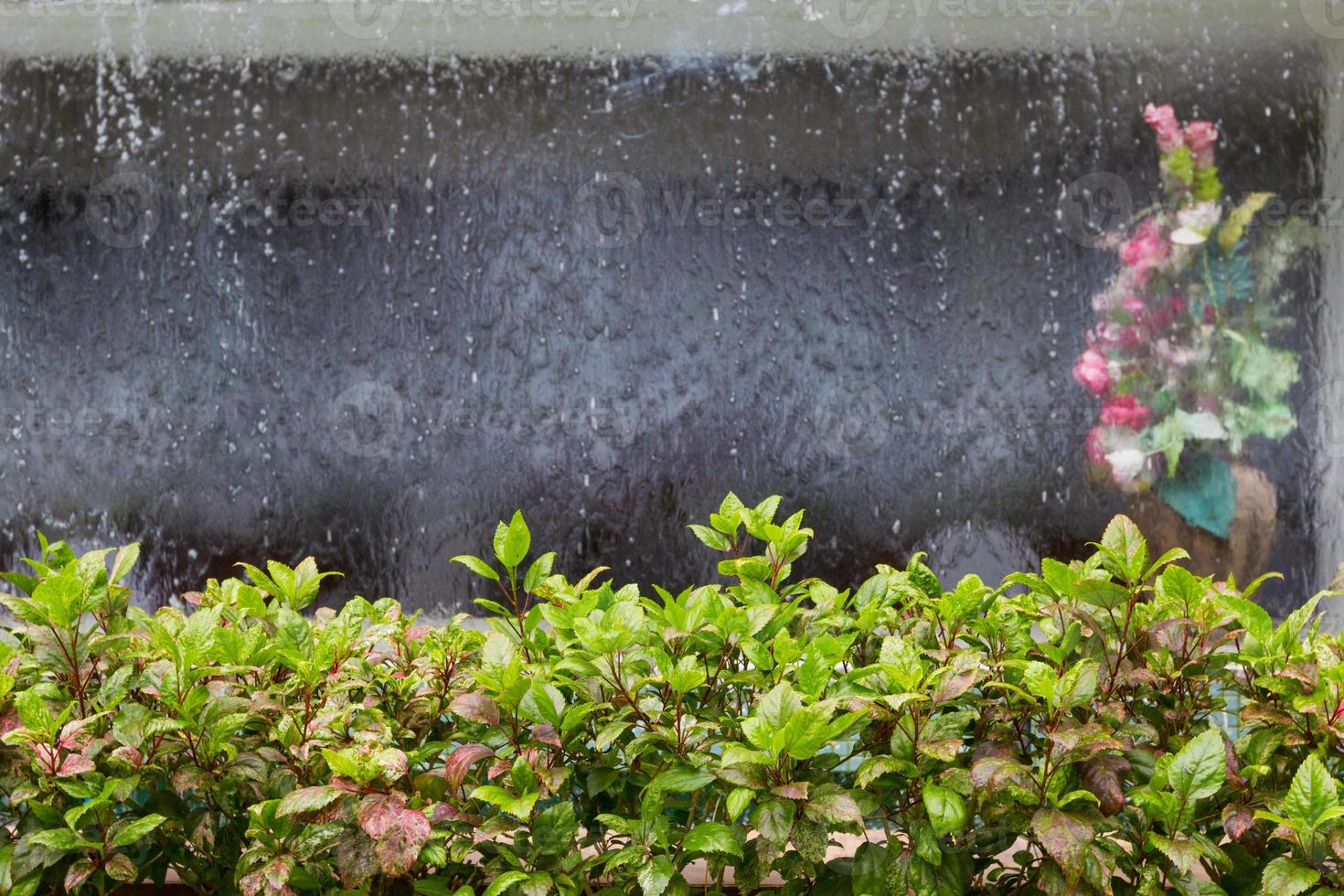 plantes ornementales avec rideau d'eau et vase à fleurs arrière-plan flou photo