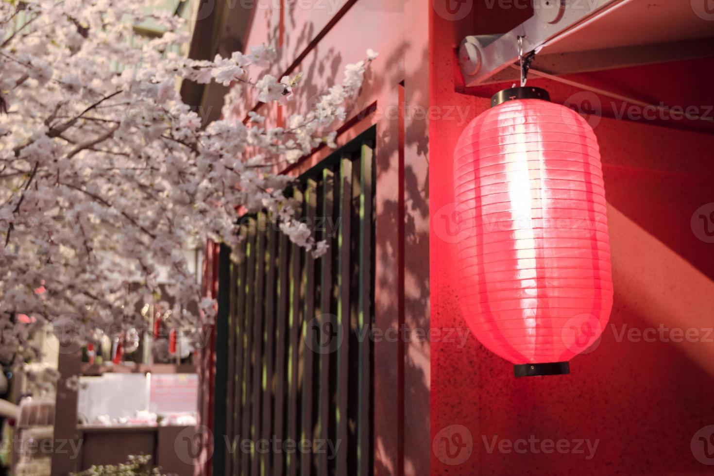 lanternes japonaises rouges avec sakura photo