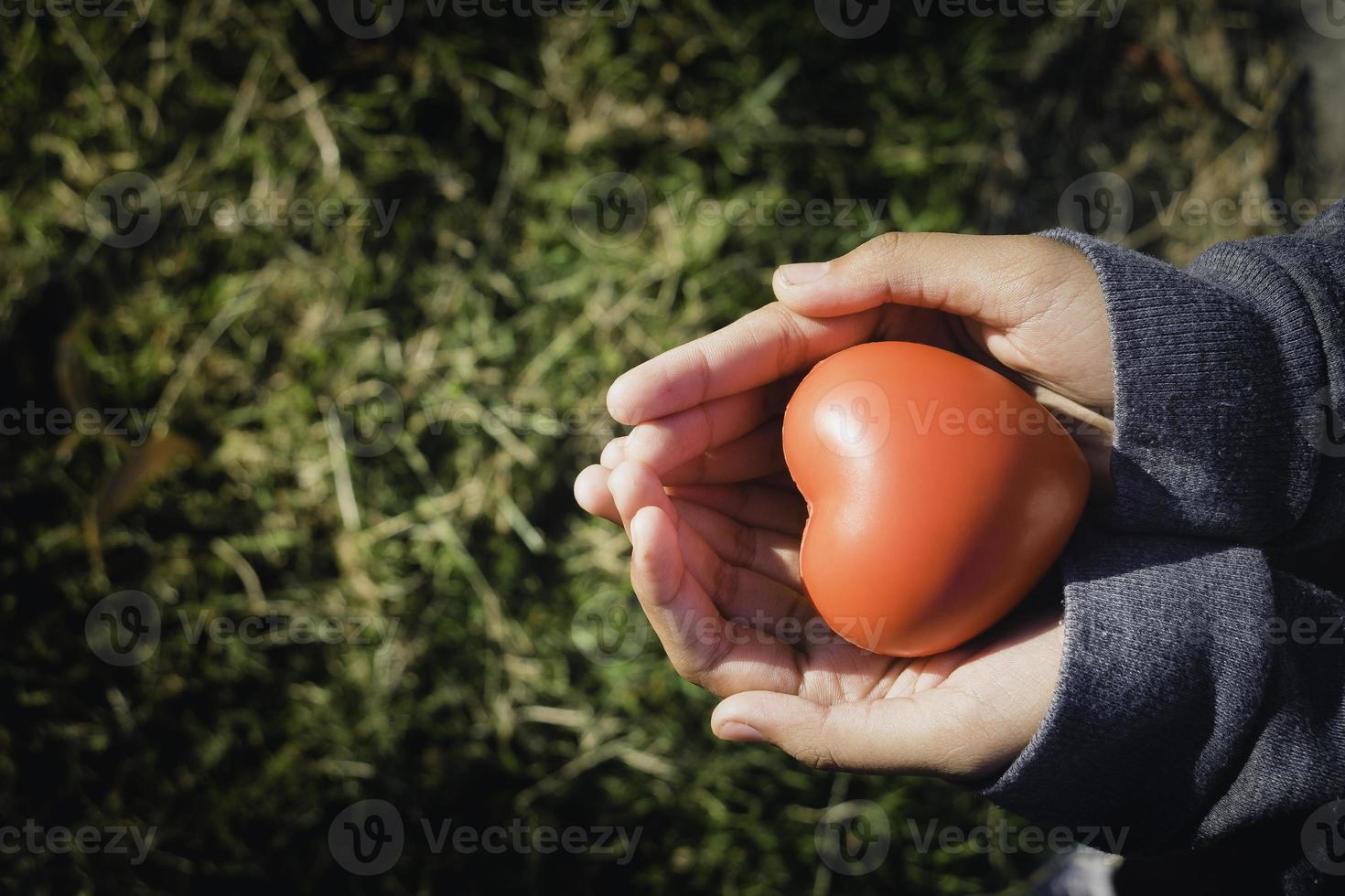 une main tenant un coeur rouge.elle est la main gauche ou droite le tenant sur fond vert.santé cardiaque, bonne charité bénévole, la photo montre le principe de la bienveillance et de la bonne santé.