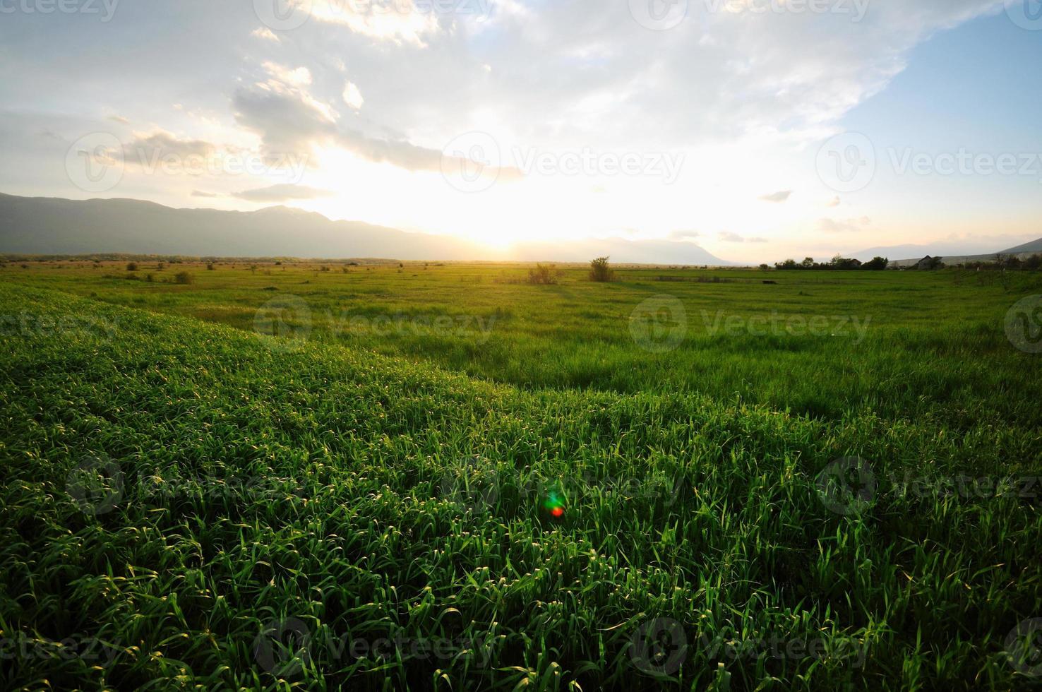 beau coucher de soleil dans la nature photo