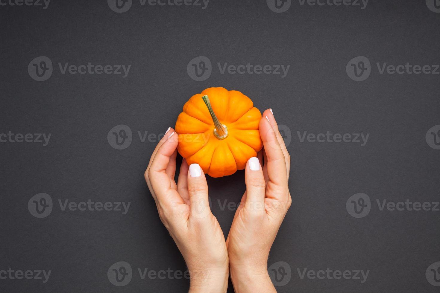 petite citrouille orange femme mains fond noir photo