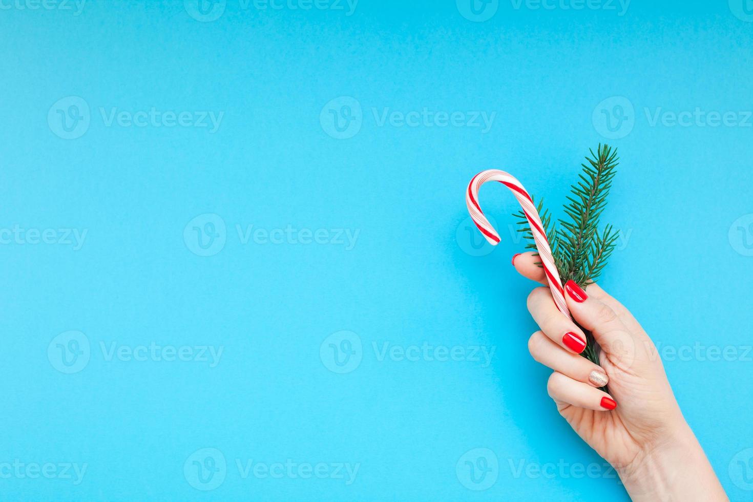 main féminine tenant une branche de sapin et une canne douce photo