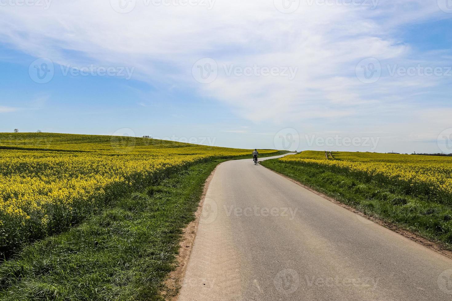 belle vue sur les routes de campagne avec champs en europe du nord. photo