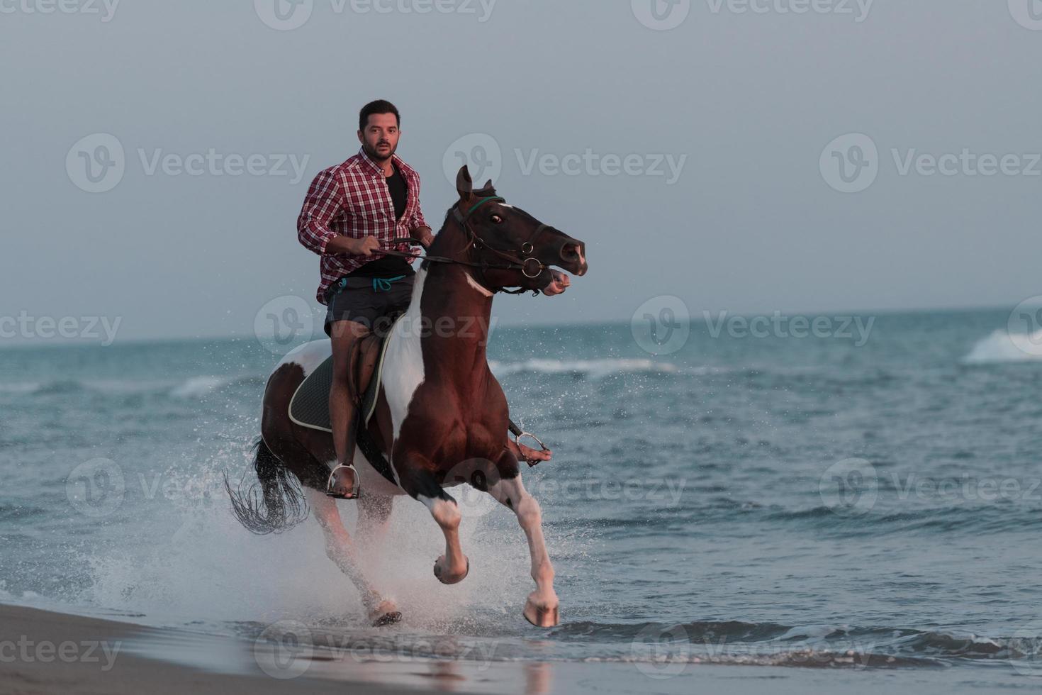 un homme moderne en vêtements d'été aime monter à cheval sur une belle plage de sable au coucher du soleil. mise au point sélective photo