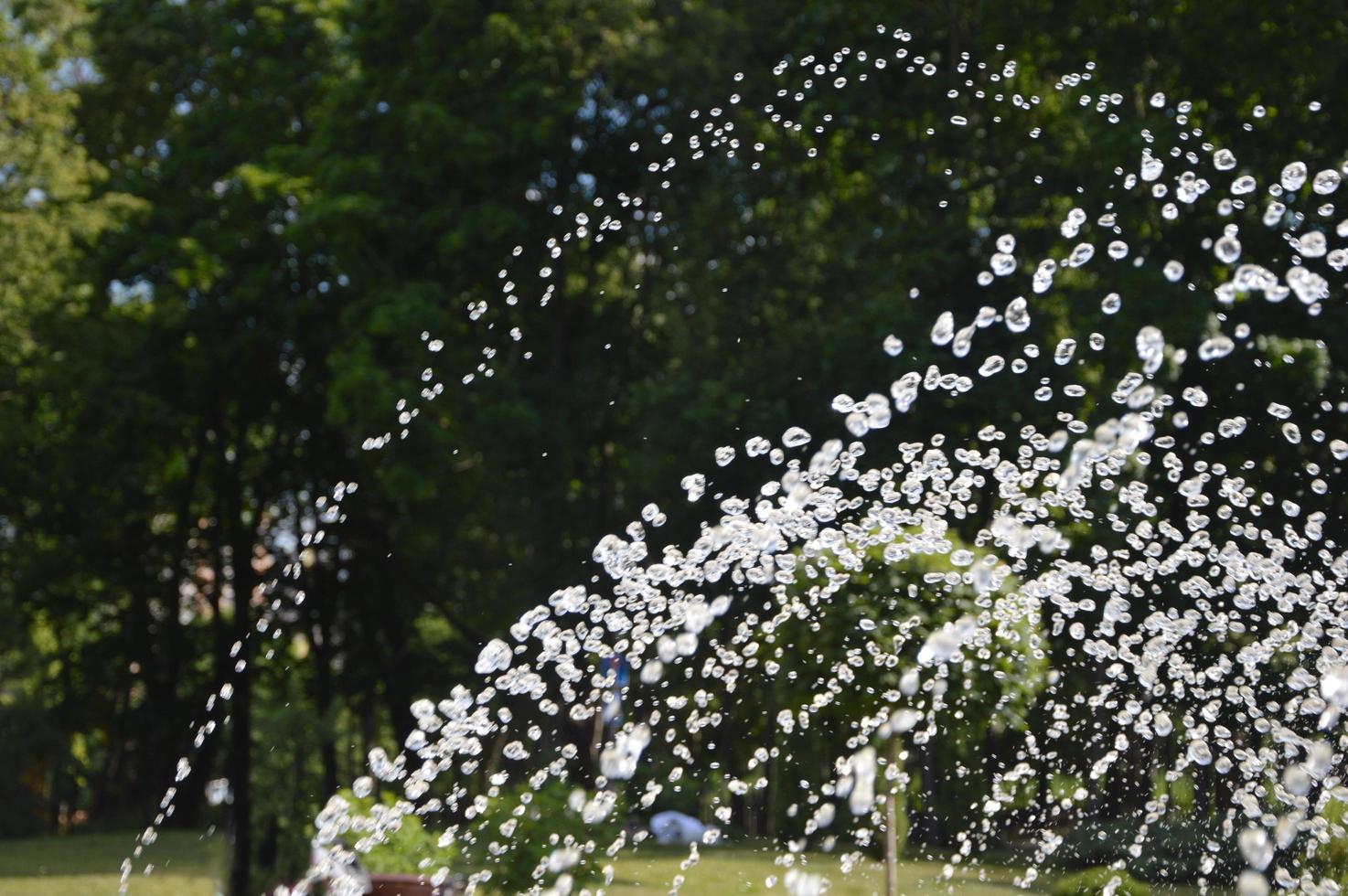 un jet d'eau vers le haut sous la forme d'un arc. jets d'eau de fontaine sur fond d'arbres verts. photo