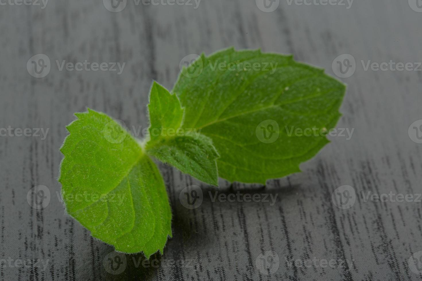 feuilles de menthe sur fond de bois photo