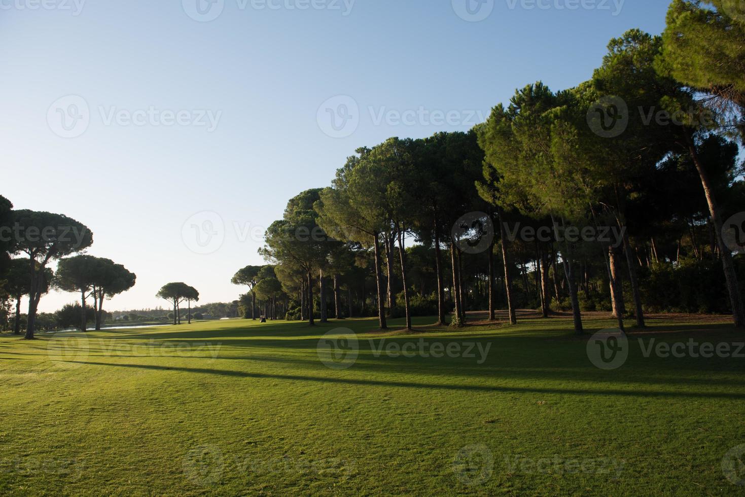 vue sur le golf photo