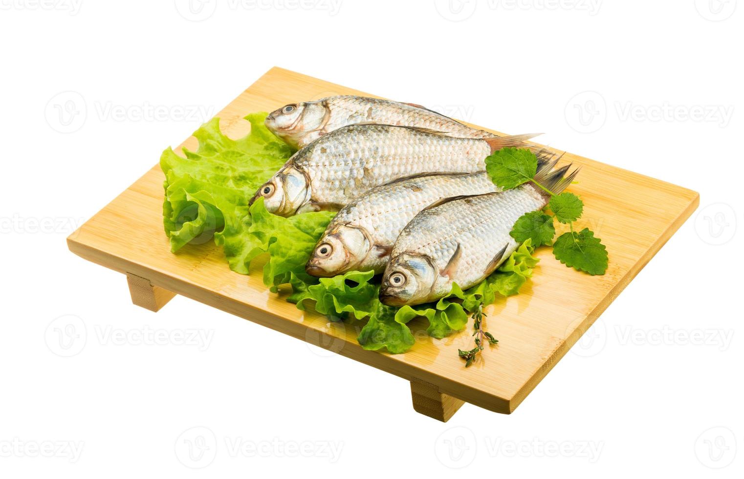 poisson carassin sur planche de bois et fond blanc photo