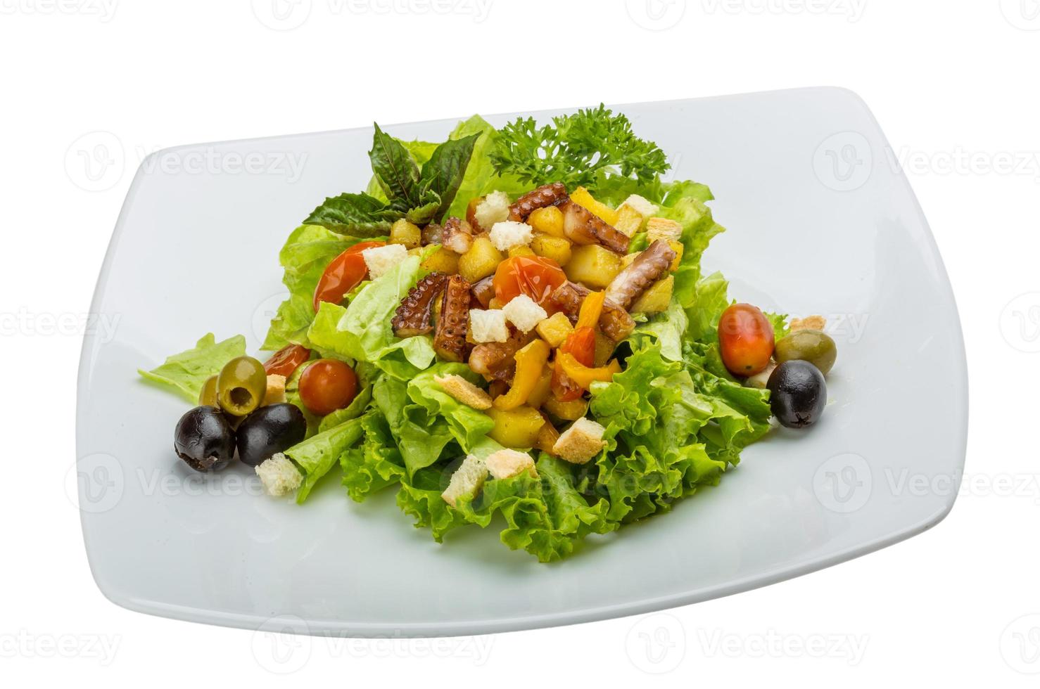 salade de poulpe sur l'assiette et fond blanc photo