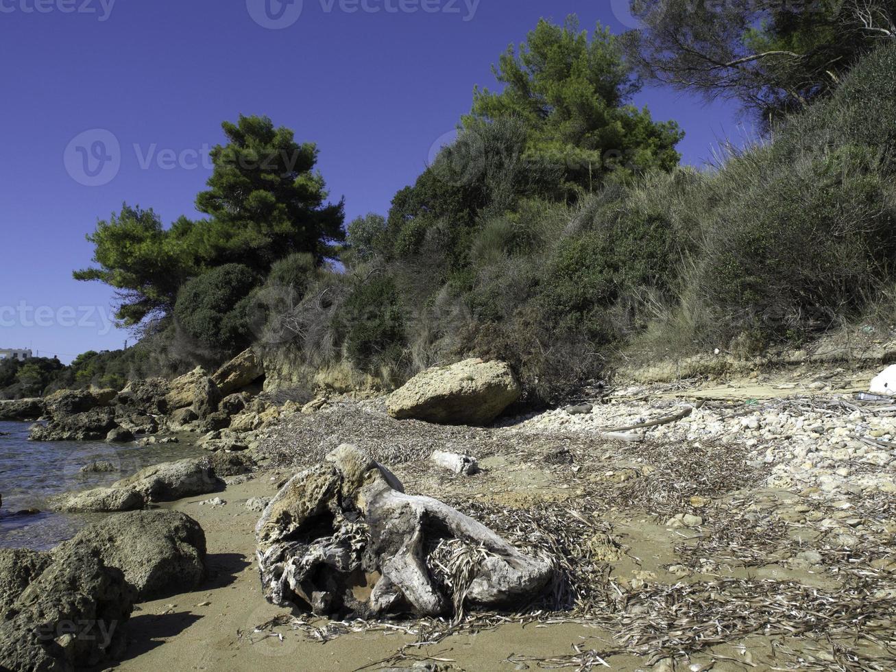 la plage de katakolon photo