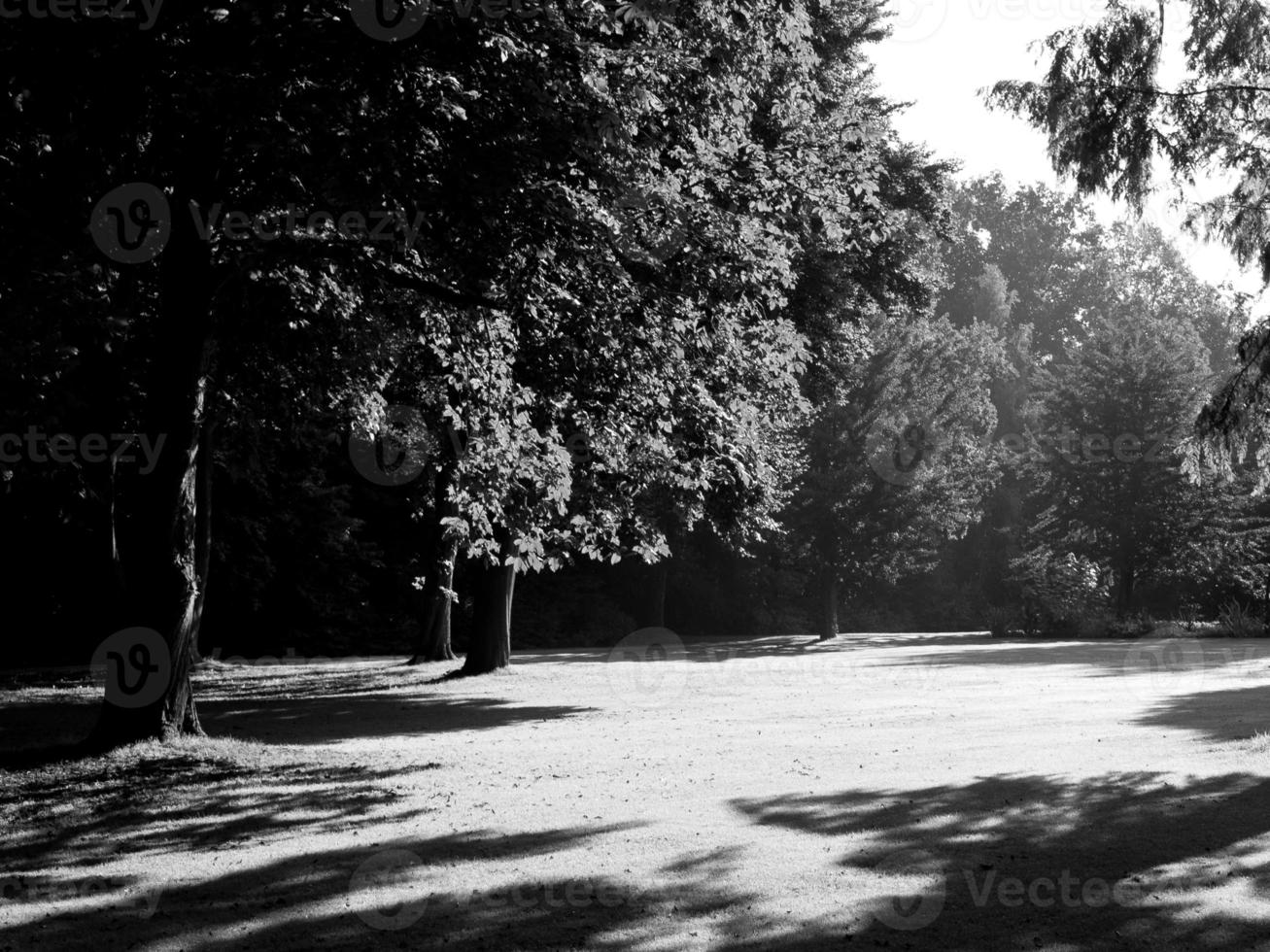 vieux château dans le muensterland allemand photo