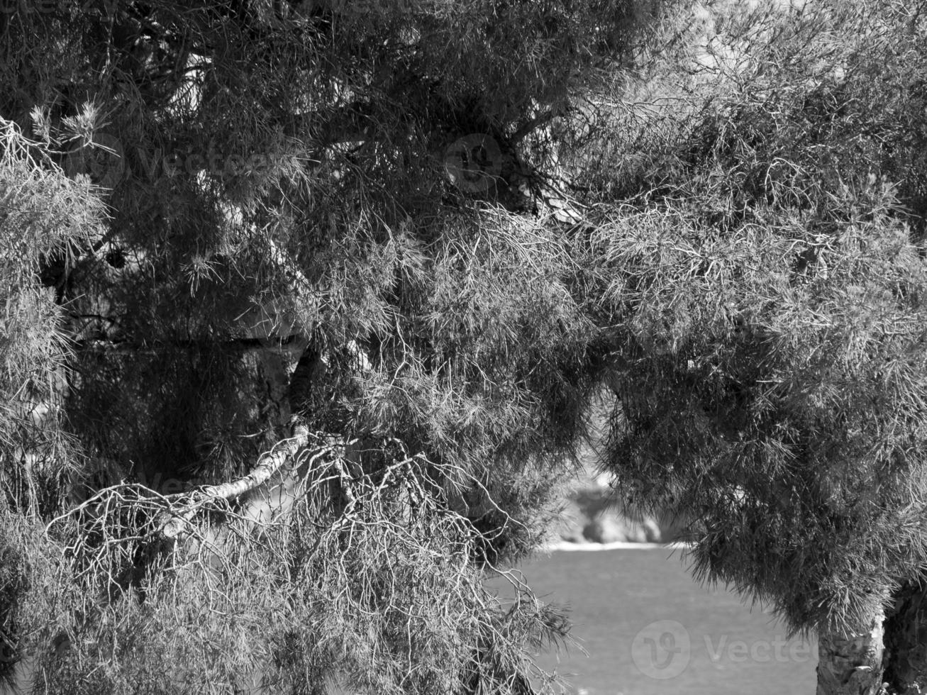 en provence française photo