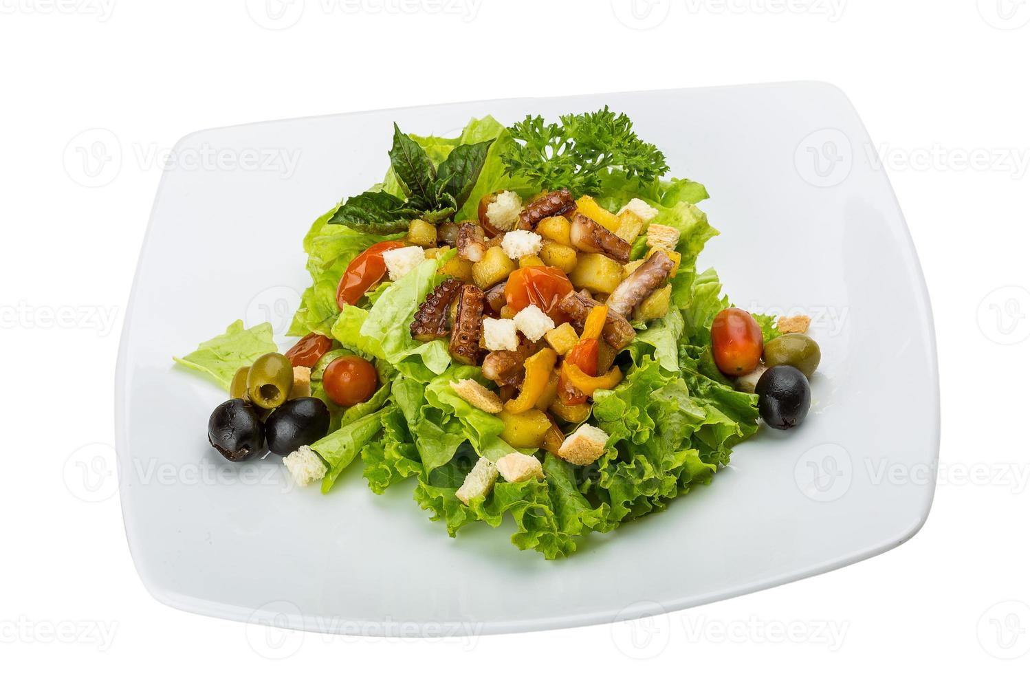 salade de poulpe sur l'assiette et fond blanc photo