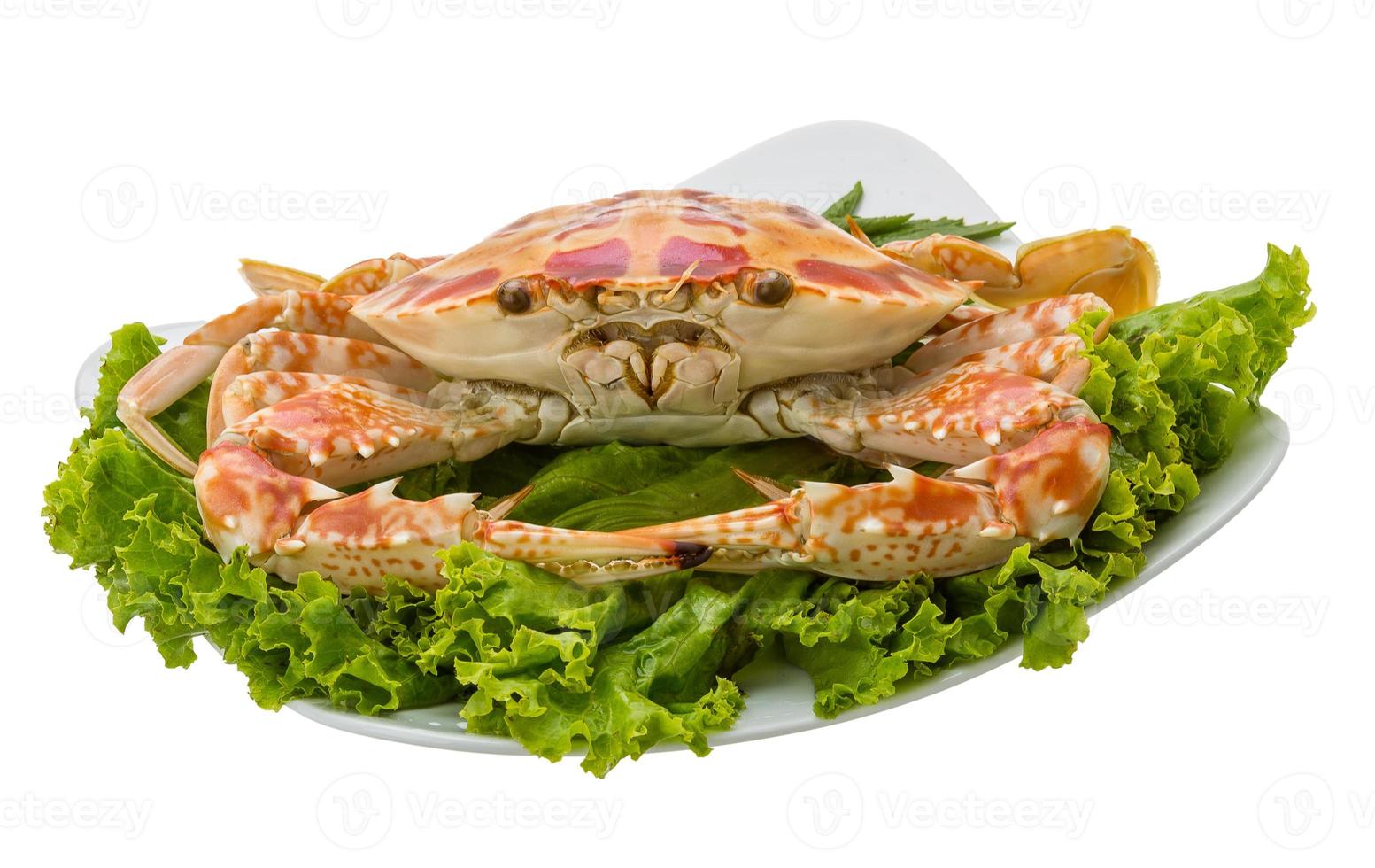 crabe bouilli sur la plaque et fond blanc photo