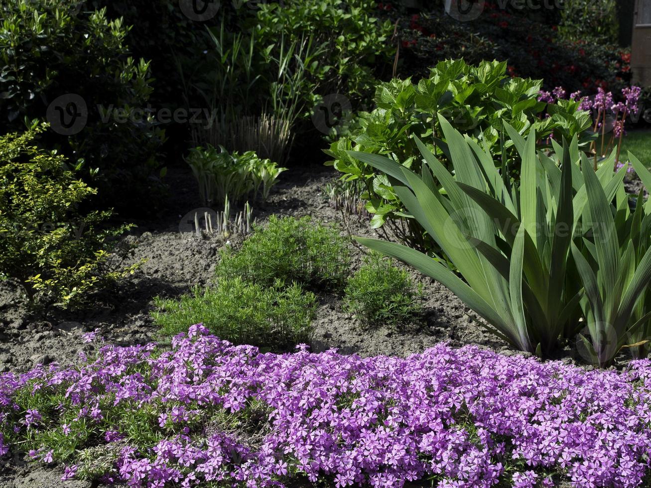 l'heure d'été dans un jardin allemand photo