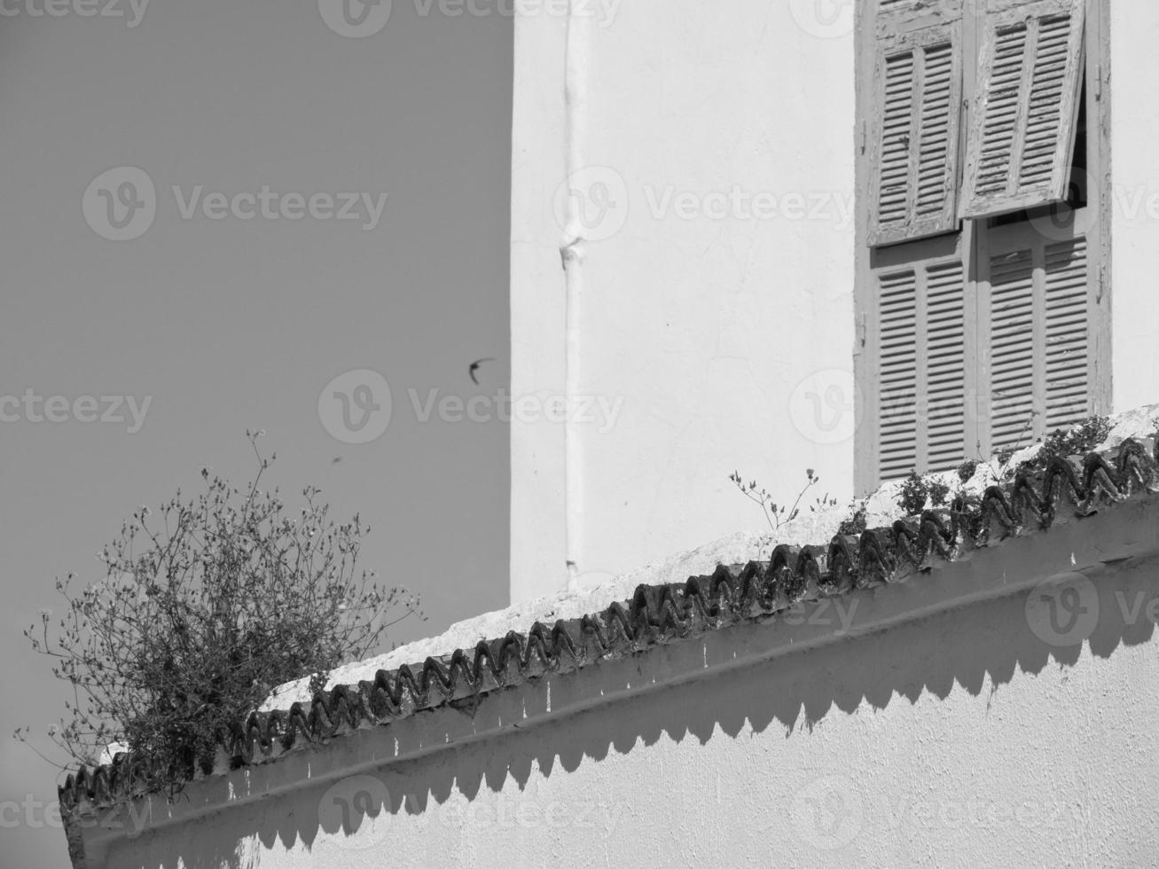 la ville de tunis photo