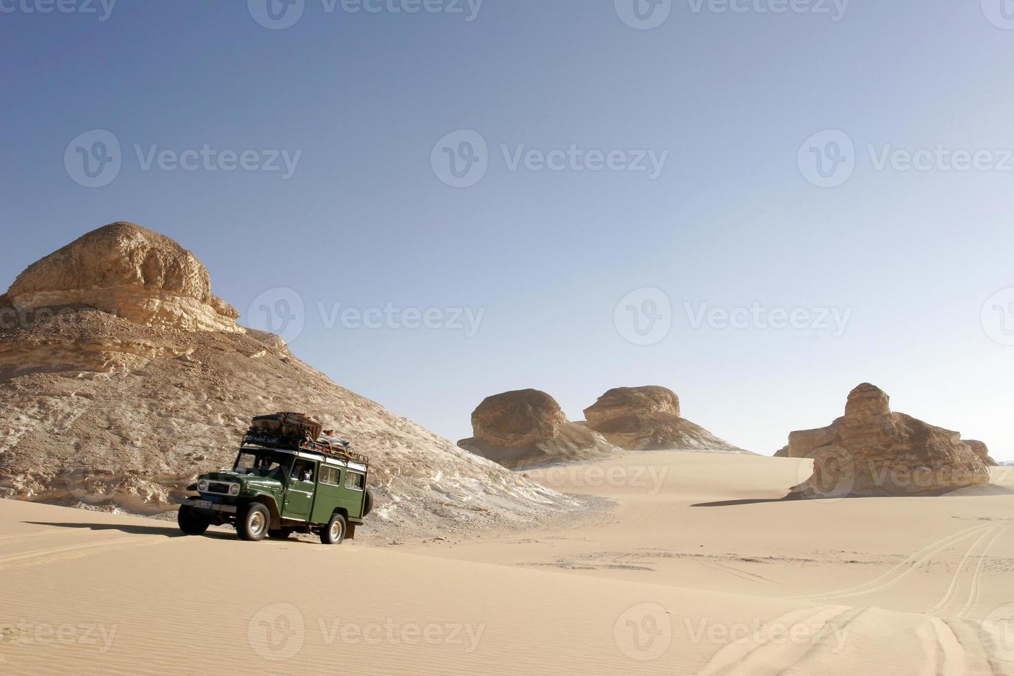 safari dans le désert 2 photo