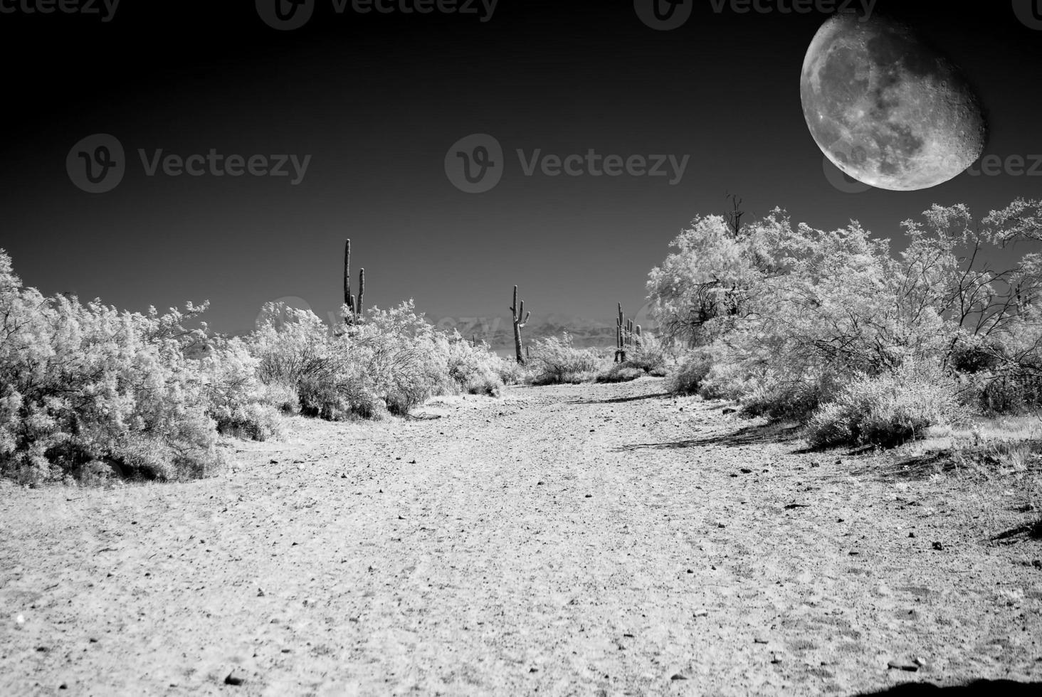 lune du désert photo