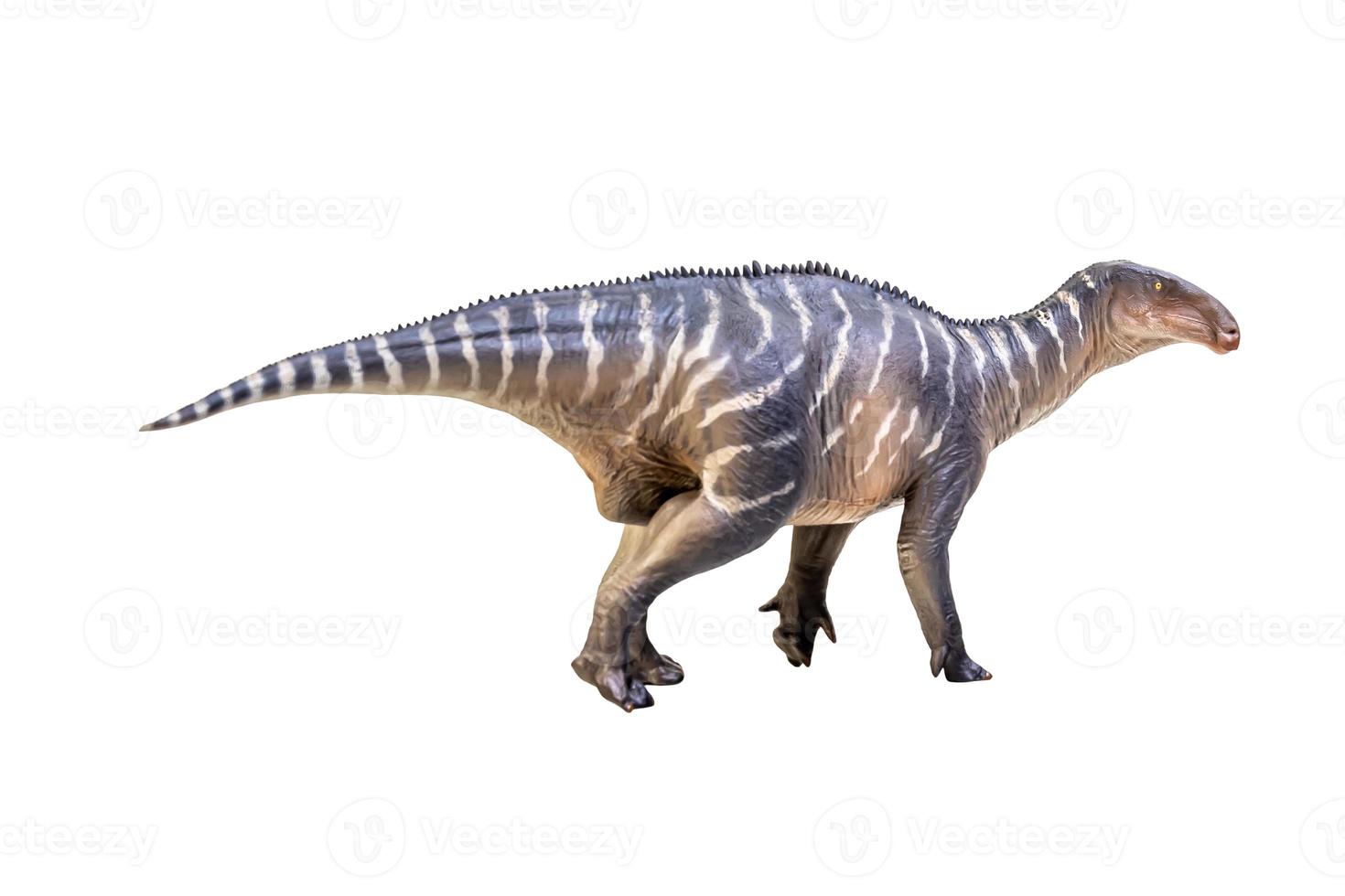 dinosaure iguanodon sur un tracé de détourage d'arrière-plan blanc isolé photo