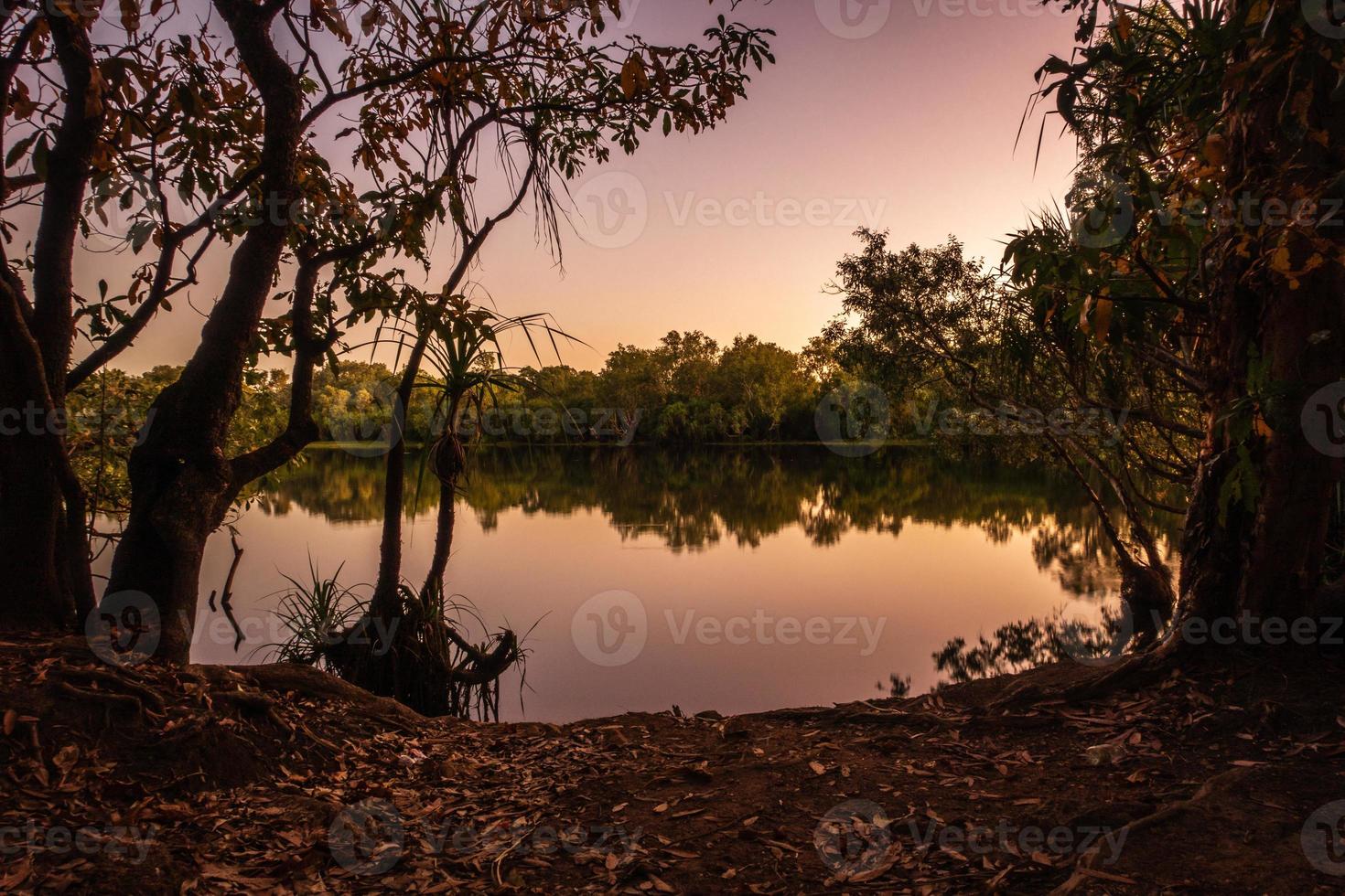 billabong au crépuscule photo