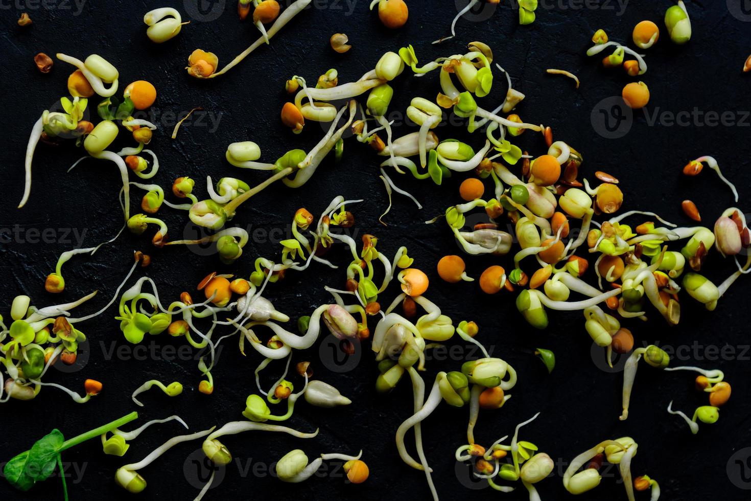 vue de dessus des lentilles germées, des haricots, des haricots mungo, des pois, des radis, du lin, du tournesol sur fond noir. régime alimentaire végétalien et cru. photo