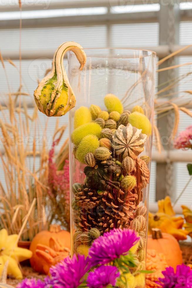 arrangement de citrouille d'automne. gros plan de mini citrouilles et cônes dans un vase en verre haut au marché de producteurs photo