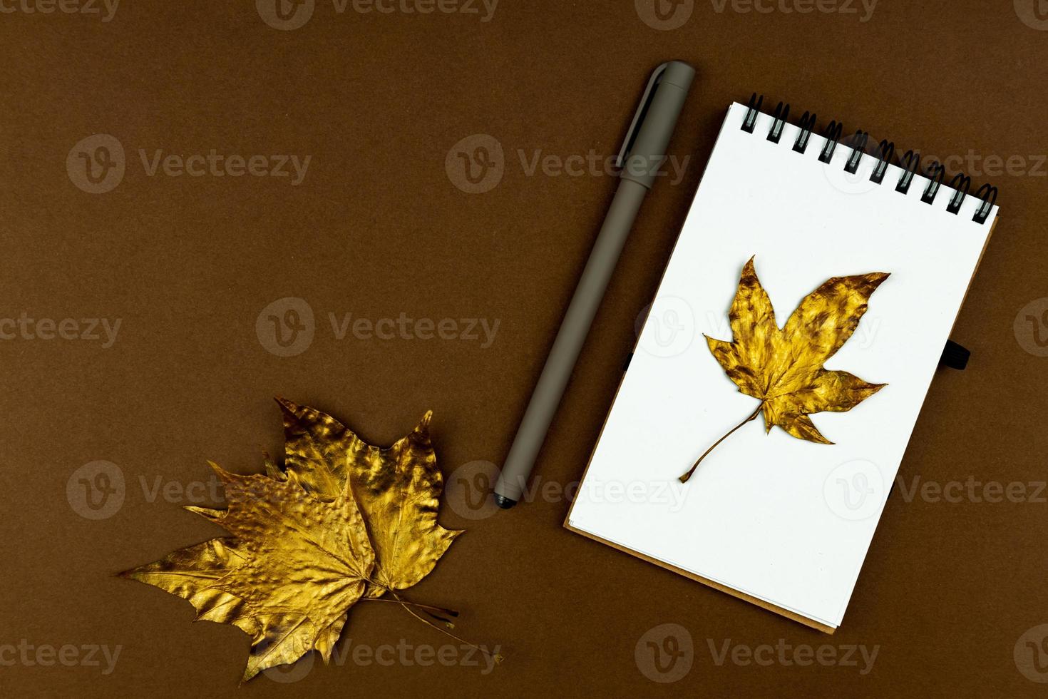 concept d'affaires d'automne - cahier vierge à anneaux avec feuille d'érable dorée et stylo sur fond marron avec espace de copie photo