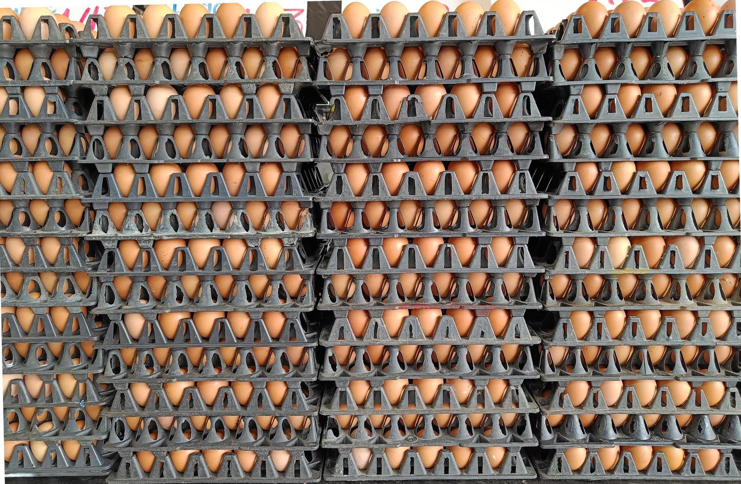 panneaux d'oeufs disposés sur le marché de la vente, occupation des agriculteurs en thaïlande photo