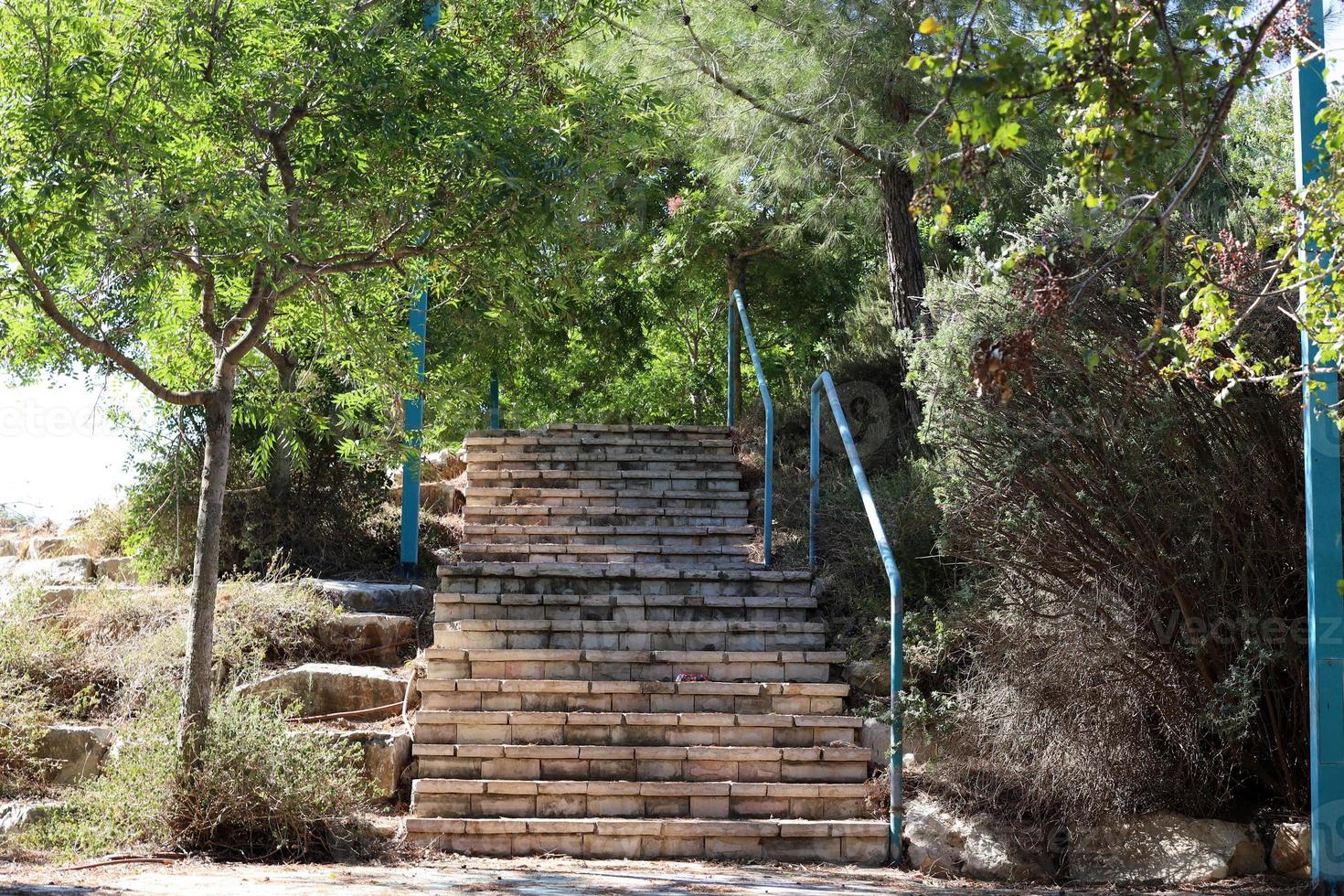 escalier dans le parc de la ville. photo