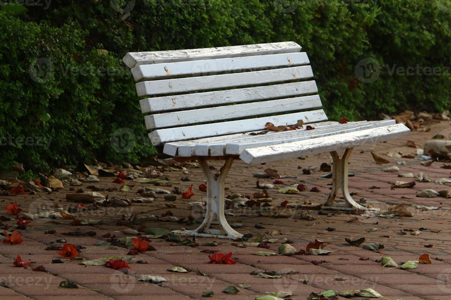 banc de repos dans le parc de la ville. photo