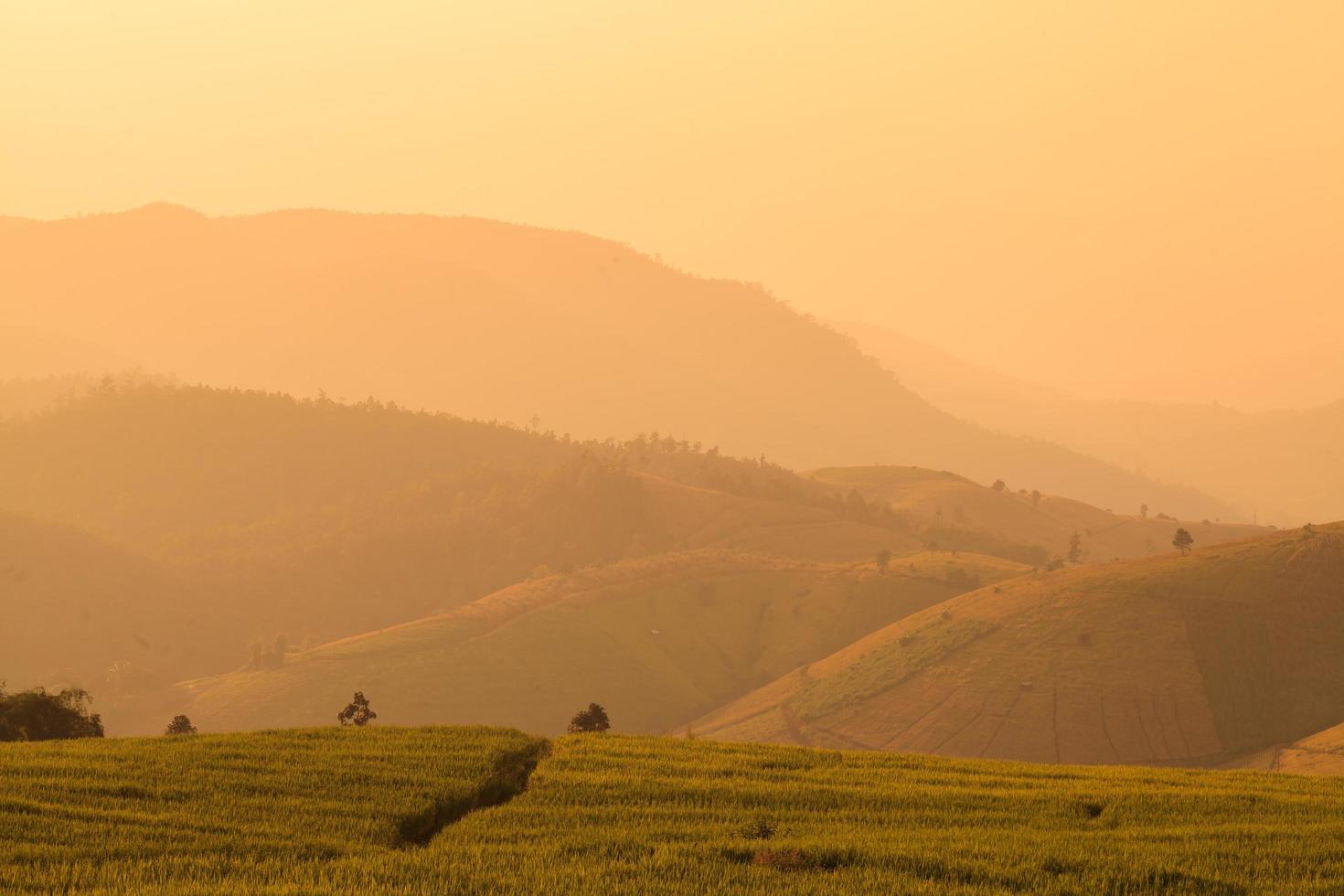 Rizières en terrasses vertes pendant le coucher du soleil à ban pa bong peay à chiangmai, thaïlande photo