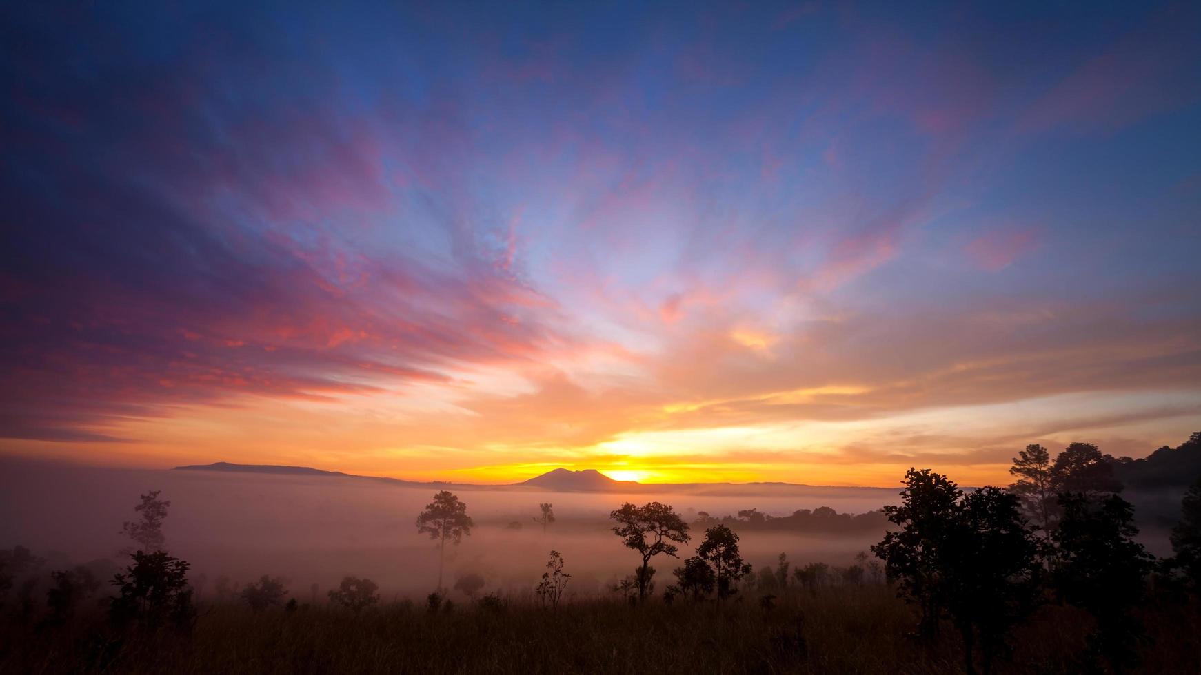 Lever du soleil du matin brumeux en montagne au parc national de Thung Salang Luang Phetchabun, Thaïlande photo