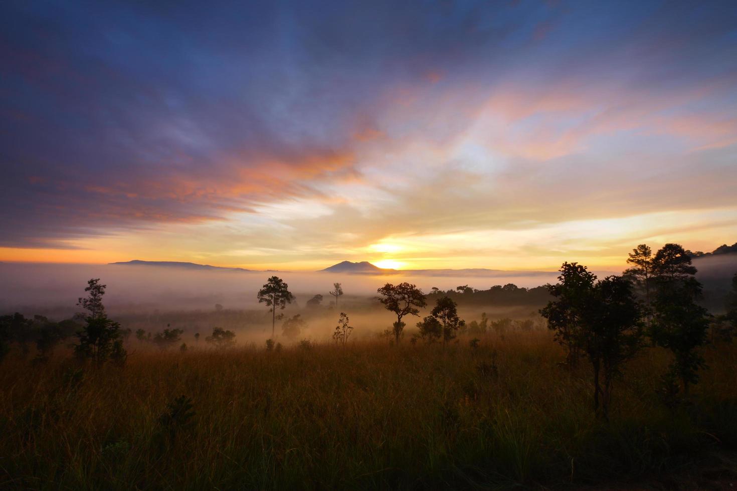 Lever du soleil du matin brumeux en montagne au parc national de Thung Salang Luang Phetchabun, Thaïlande photo